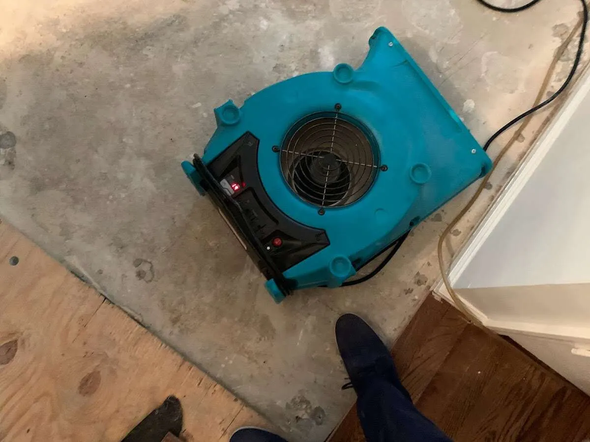 Air mover drying subfloor during Commercial Water Damage Restoration in Winthrop Town